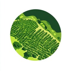 Aerial view of lush green vineyards in a circular frame, showcasing vibrant agricultural landscapes.