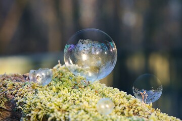 gefrorene Seifenblasen