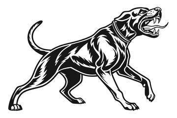  a fierce black and white fighting dog