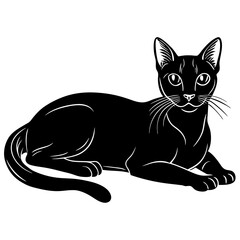 abyssinian cat black silhouette vector with white background, Pet animal silhouette