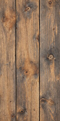 Obraz premium Concept photo of wood texture, wood background, wood wallpaper