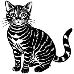 american shorthair cat black silhouette vector with white background, Pet animal silhouette