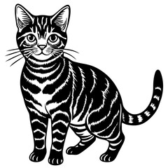 american shorthair cat black silhouette vector with white background, Pet animal silhouette