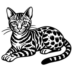 bengal cat black silhouette vector with white background, Pet animal silhouette