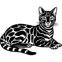 bengal cat black silhouette vector with white background, Pet animal silhouette