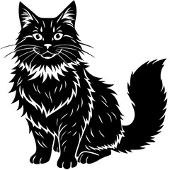 maine coon cat black silhouette vector with white background, Pet animal silhouette