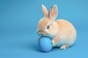 Obraz premium Easter bunny rabbit with blue painted egg on blue background. Easter holiday concept.