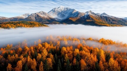 Fototapeta premium A view of a mountain range covered in fog and trees