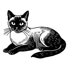 siamese cat black silhouette vector with white background, Pet animal silhouette