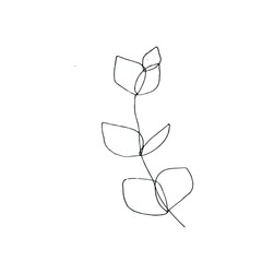 eucalyptus leaves black and white vector composition illustration isolated on white background base for testil typography postcard design