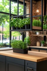 Fototapeta premium A modern kitchen features a stylish display of herbs in pots, enhancing the ambiance, Ideal for blogs on culinary design, healthy cooking, or home decor, showcasing nature in urban settings,