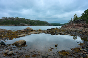 Northern landscape with a pond, rocks and vegetation.
