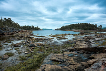 Northern landscape with a pond, rocks and vegetation.