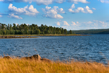 Northern deserted landscape with a lake