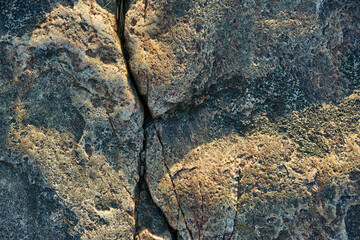 Granite surface with small dark and light inclusions