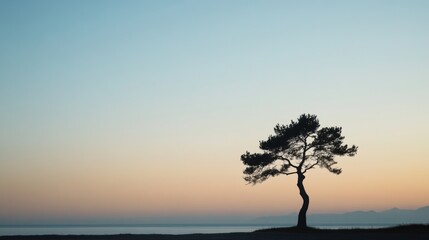 Obraz premium Solitary tree silhouette at sunset by calm sea.