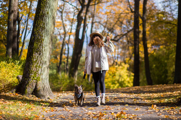Fototapeta premium Caucasian woman walking dog in autumn forest with colorful leaves