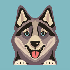Cartoon card with head of hasky dog on blue background. 