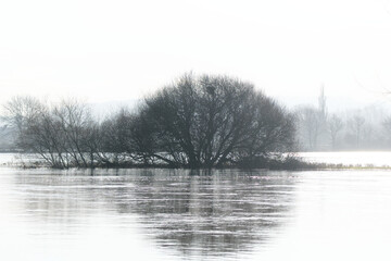Trees and flooded river scene