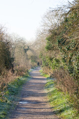 Long narrow deserted rural dirt path 