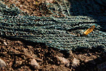 A CloseUp View of Green Garden Netting Spread Out on Soil in a Lush Environment