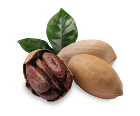 Tasty pecan nuts and green leaves isolated on white
