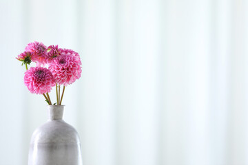 Beautiful pink flowers in vase against light background, closeup. Space for text