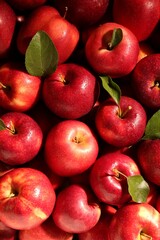 Fresh ripe red apples and green leaves as background, top view