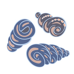 Seashell. Tropical ocean animal design in cartoon style