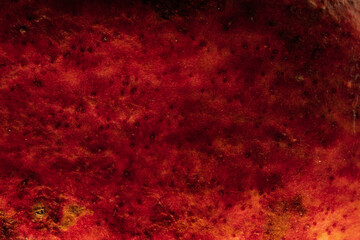 red pomegranate skin texture 