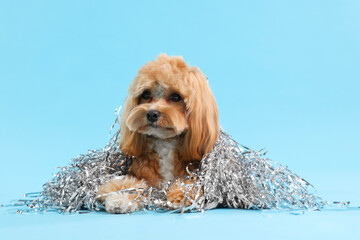Cute dog with pile of shiny tinsels on light blue background