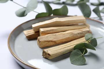 Palo santo sticks and eucalyptus branches on white background, closeup