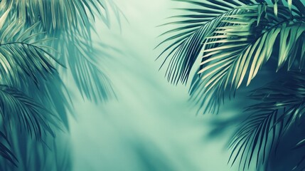 Obraz premium Shadows of palm leaves cast gently on a light green background, offering a clean canvas for elegant text and design