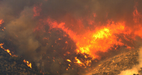 Malibu Wildfire, Pacific Palisades, Woodley Fire, California USA