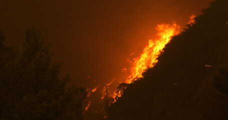 Malibu Wildfire, Pacific Palisades, Woodley Fire, California USA