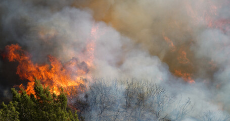 Malibu Wildfire, Pacific Palisades, Woodley Fire, California USA