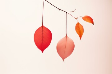 Celebrate the essence of autumn with our minimalist decor. A single leaf brings warmth and seasonal charm to your space.