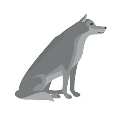 Vector flat hand drawn sitting wolf isolated on white background