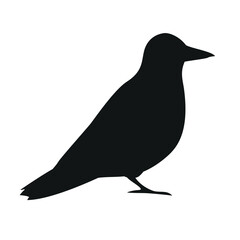Vector flat hand drawn crow silhouette isolated on white background