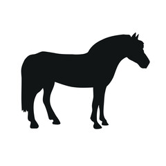 Obraz premium Vector hand drawn fjord horse silhouette isolated on white background