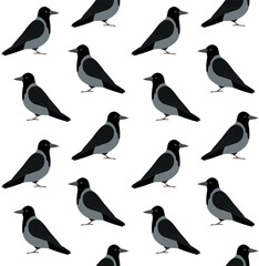 Obraz premium Vector seamless pattern of flat hand drawn crow isolated on white background