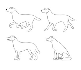 Vector set of flat hand drawn outline labrador dog isolated on white background