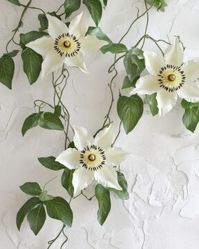 Trois fleurs blanches d&eacute;licates aux d&eacute;tails centraux sombres s'&eacute;panouissent sur un fond textur&eacute;.