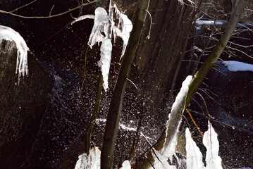 587 Ice Water Frozen Cold water sprays over icicles clinging to stems of plants in a creek waterfall in winter.
