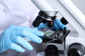 Laboratory testing. Scientist examining sample on slide under microscope indoors, closeup