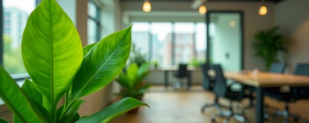 Close-up of lush green plant with subtle blur effect of surrounding office lighting and furniture, indoor plants, natural elements, green plant