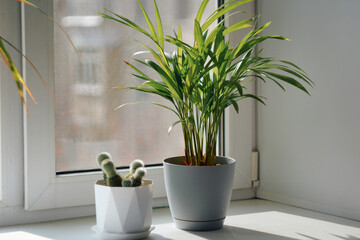 There are potted houseplants on the windowsill.