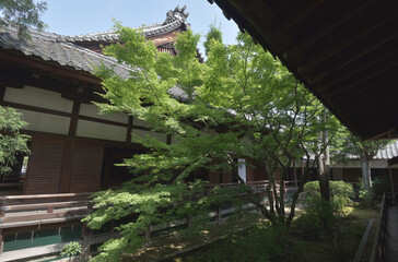 青蓮院　小御所から宸殿を望む　京都市東山区粟田口