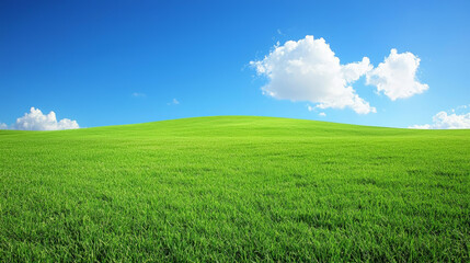 Fototapeta premium Lush green hills under bright blue sky with fluffy clouds create serene landscape