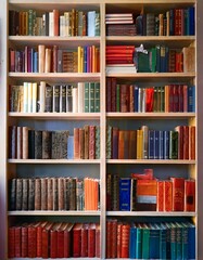 A well-organized collection of books in a wooden bookcase.
